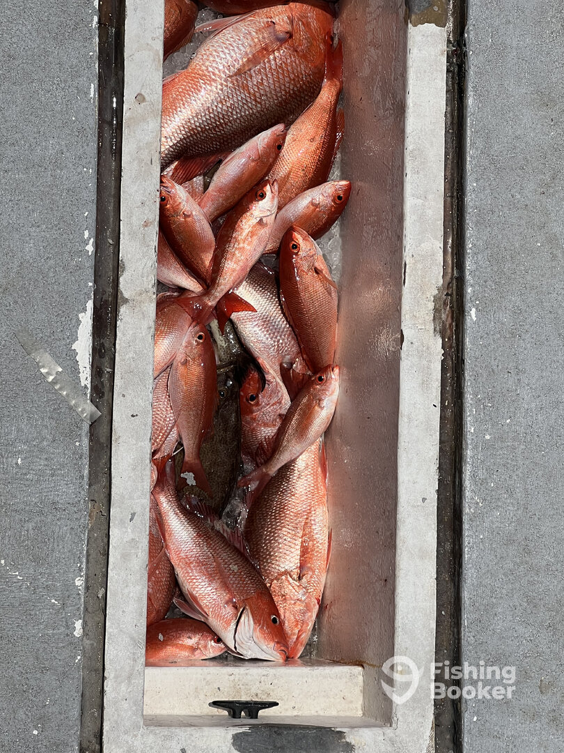 Destin Report Photo 0