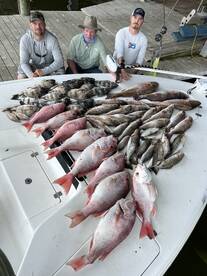 Venice Report Photo 1