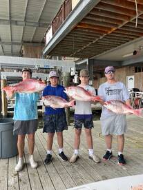 Venice Report Photo 1