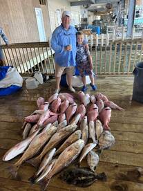 Venice Report Photo 2