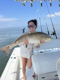 Venice Report Photo 1