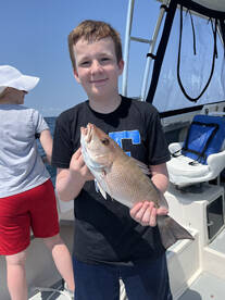 Mixed Bag, Lots of Action