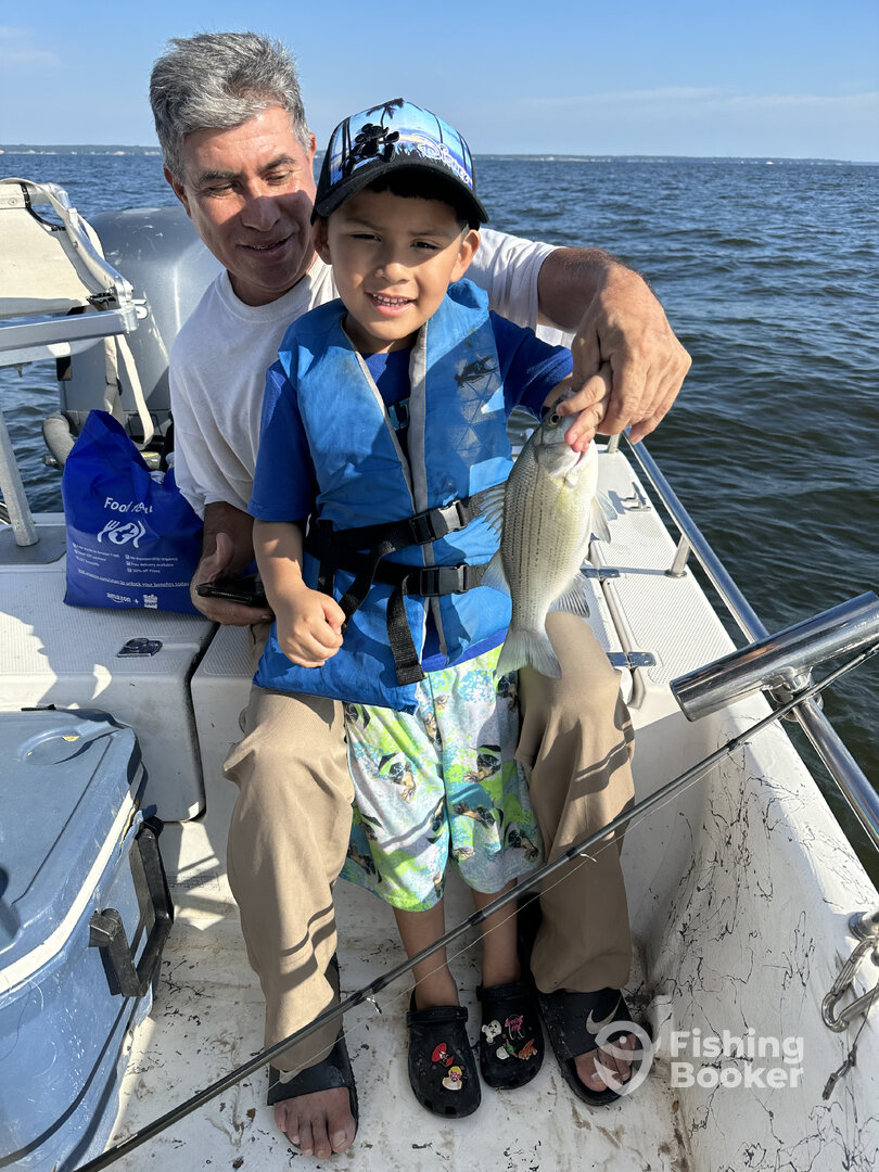 Livingston Report Photo 0