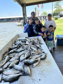 Livingston Report Photo 1