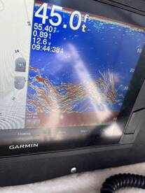 Orleans Report Photo 2