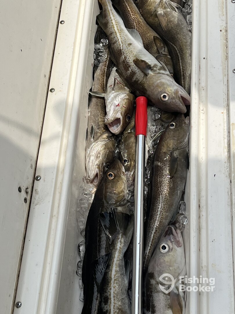 Orleans Report Photo 0