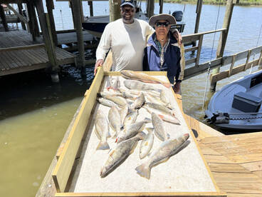 New Orleans Report Photo 1