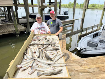 New Orleans Report Photo 2