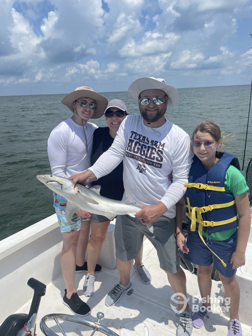 Dauphin Island Report Photo 0