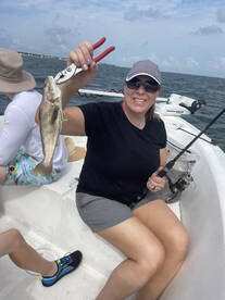 Dauphin Island Report Photo 1