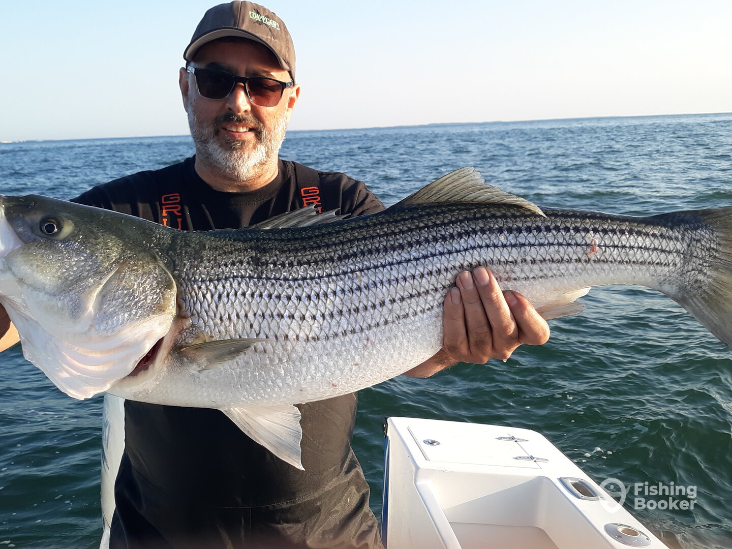 Waterford Report Photo 0