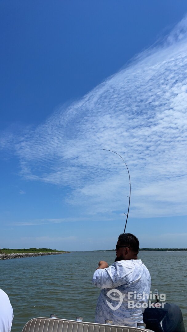 Sulphur Report Photo 0