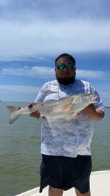 Sulphur Report Photo 1