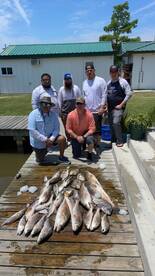 Sulphur Report Photo 2