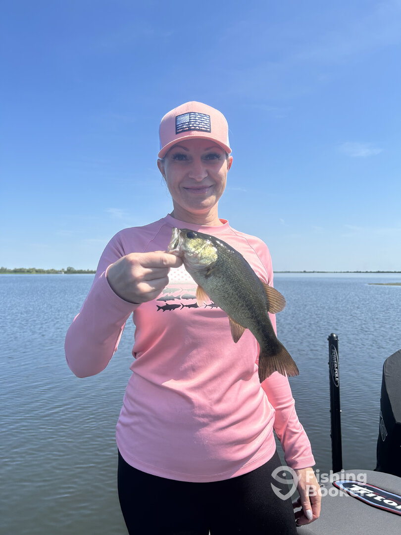 Bethel Island Report Photo 0