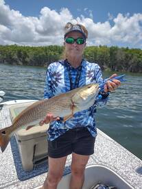 Good morning from crystal river