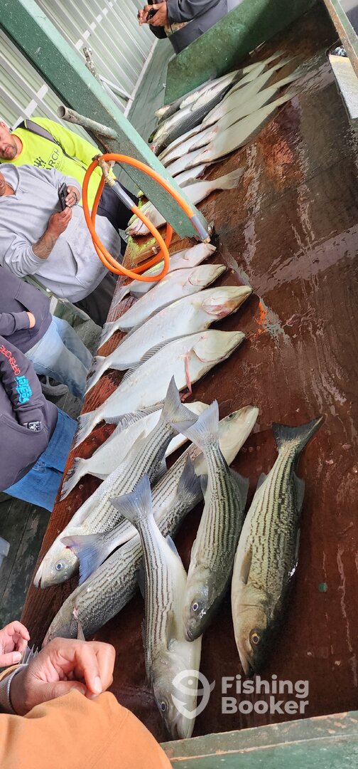 Richmond Report Photo 0