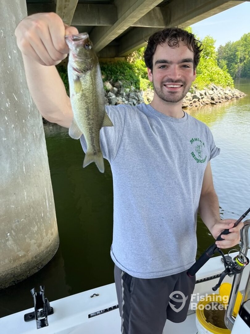 Randleman Report Photo 0