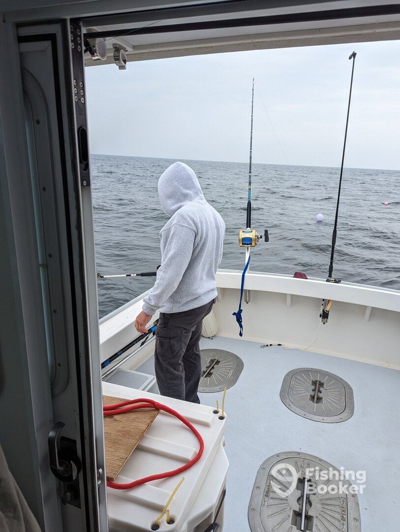 Gloucester Report Photo 0