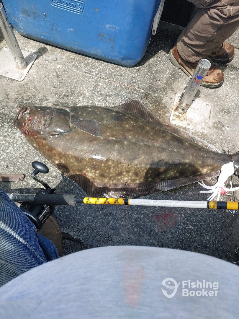 Garibaldi Report Photo 0