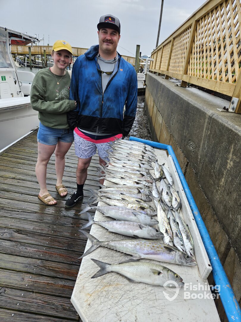 Wilmington Report Photo 0