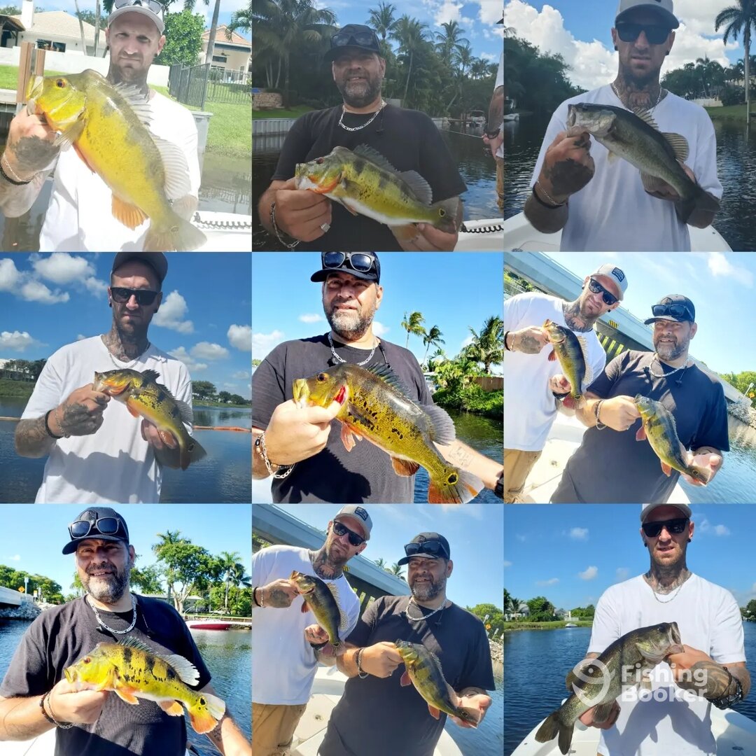 Delray Beach Report Photo 0