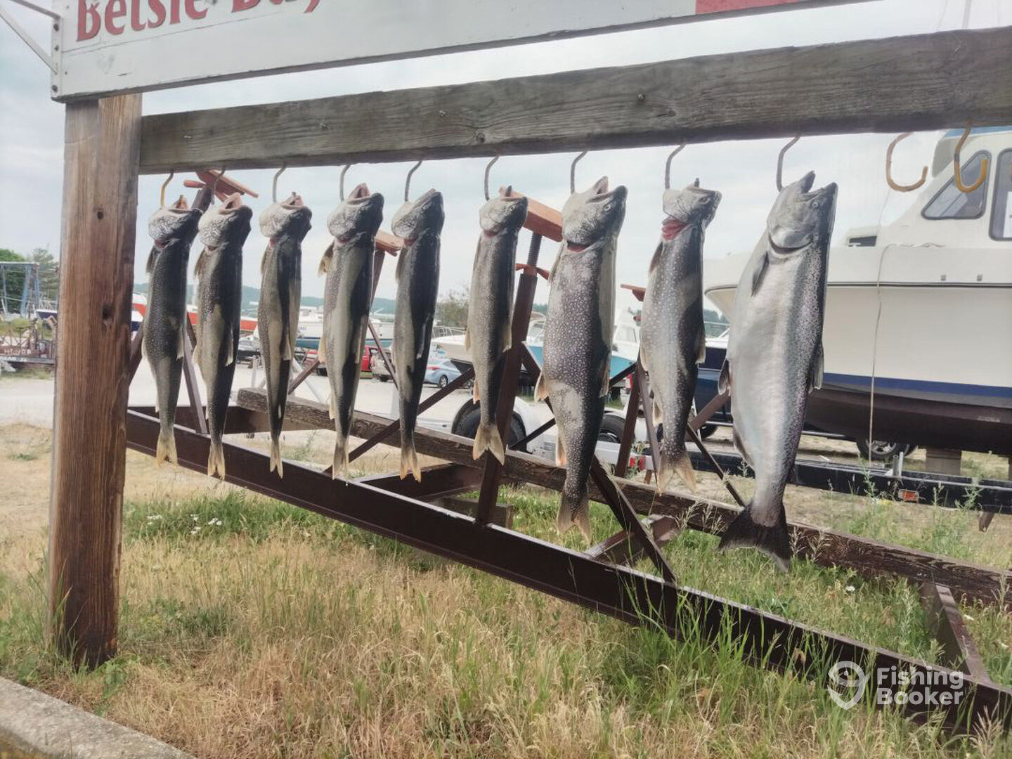 Elberta Report Photo 0