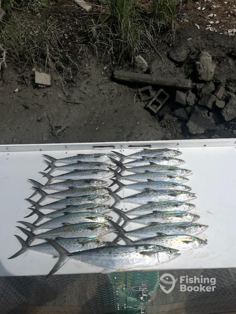 Murrells Inlet Report Photo 0