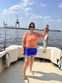 Stevensville Report Photo 2