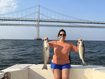 Stevensville Report Photo 1