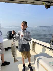 Stevensville Report Photo 2