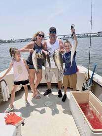 Stevensville Report Photo 1