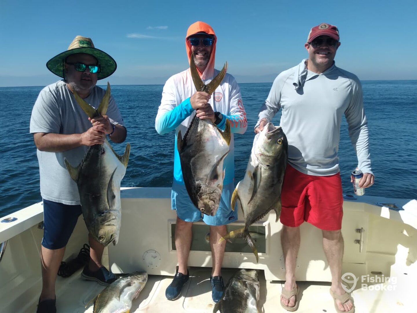 Puerto Vallarta Report Photo 0