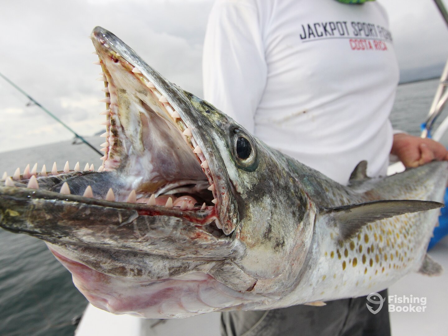 Quepos Report Photo 0