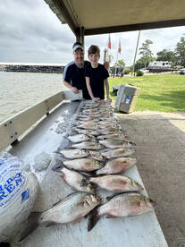 Livingston Report Photo 2