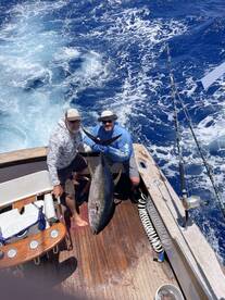 Haleiwa Report Photo 2