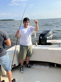 Bellevue Report Photo 1