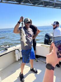 Bellevue Report Photo 2