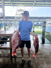 Galveston Report Photo 1