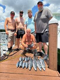 Dania Beach Report Photo 2