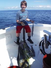 Quepos Report Photo 1