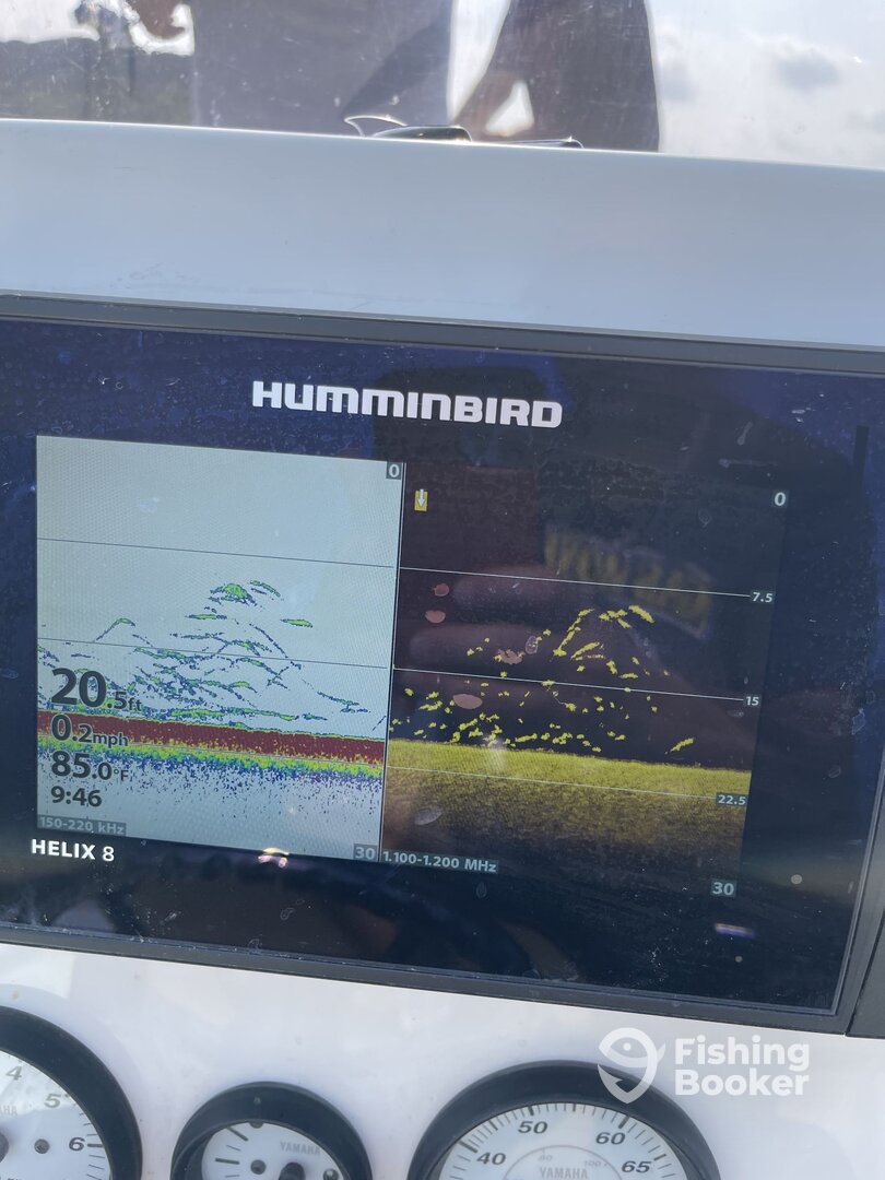 Bell County Report Photo 0