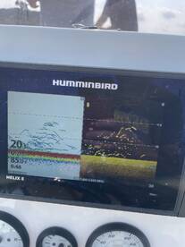 First time’s a charm!