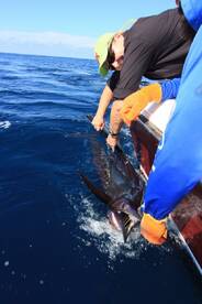 Quepos Report Photo 1