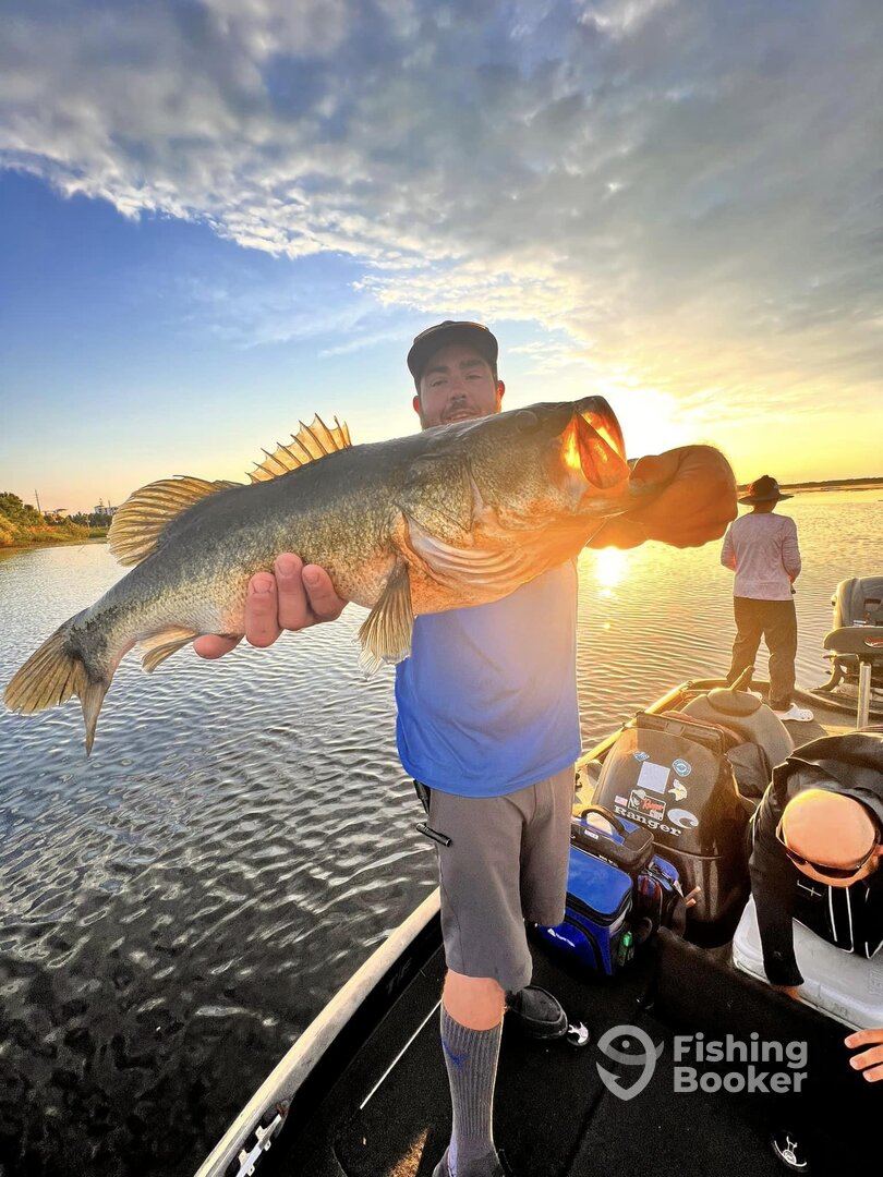 Orlando Report Photo 0