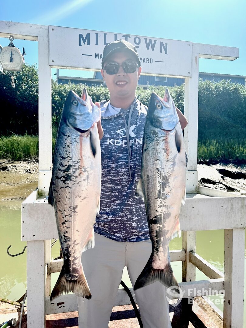 Vancouver Report Photo 0