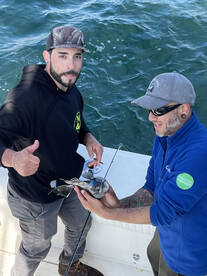 Sea bass has been unreal!!!