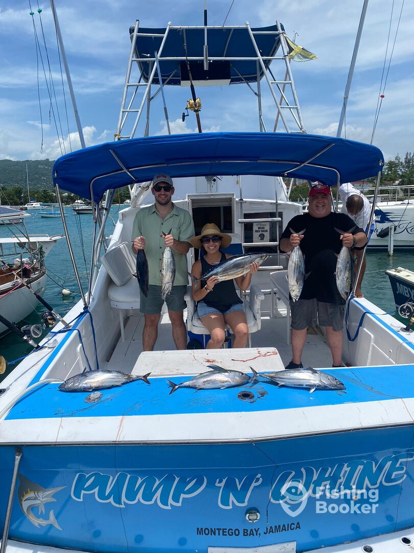 Montego Bay Report Photo 0