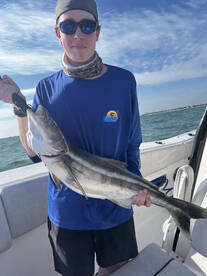 Cobia bit!