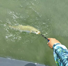 Come get you some fresh fish fry! 